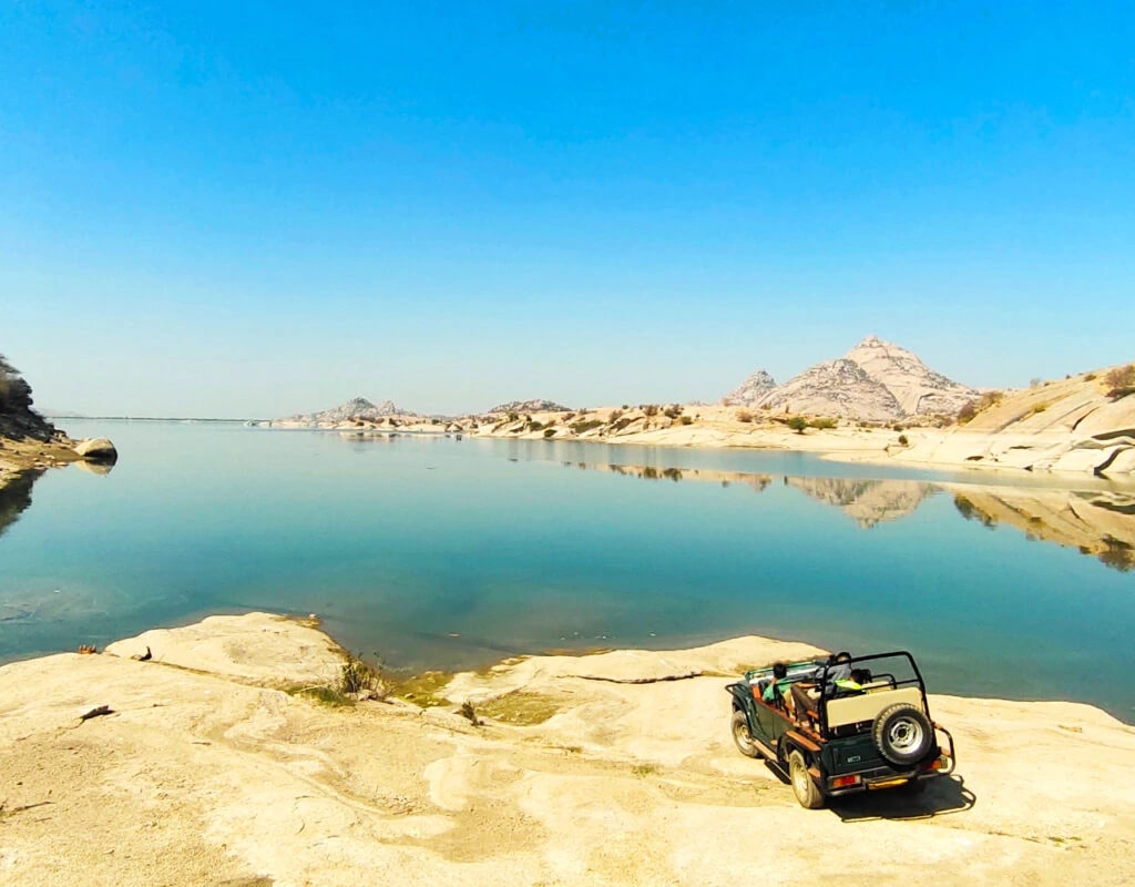 Lakes & Leopards — Udaipur · Kumbhalgarh · Jawai